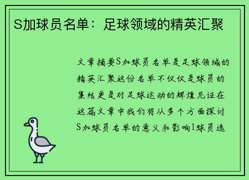 S加球员名单：足球领域的精英汇聚
