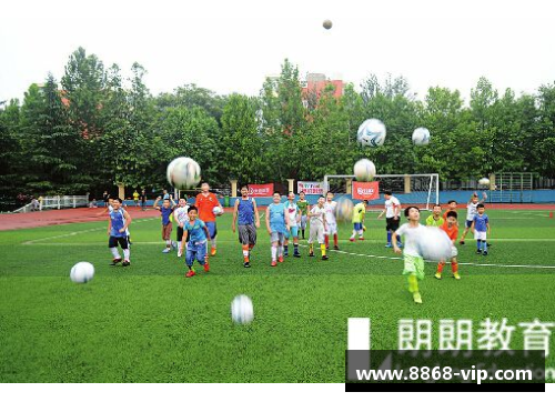 篮球宝贝：探寻球场上的风采与情愫