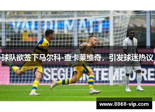 球队欲签下马尔科-查卡莱维奇，引发球迷热议
