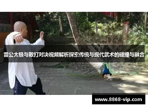 雷公太极与散打对决视频解析探索传统与现代武术的碰撞与融合